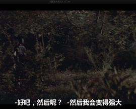 战国洛克：疾风女人们 |  | zhanguoluokejifengnvrenmen