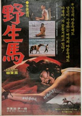 野生馬 | Wild Horse | yeshengma